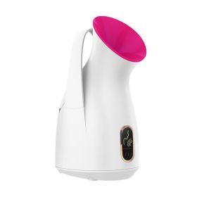 Household Nano Spray Face Steamer (Option: White-US)