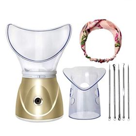 Beauty steaming face instrument (Option: Gold-EU)