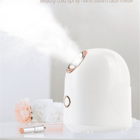 Beauty Steamer (Option: EU White)